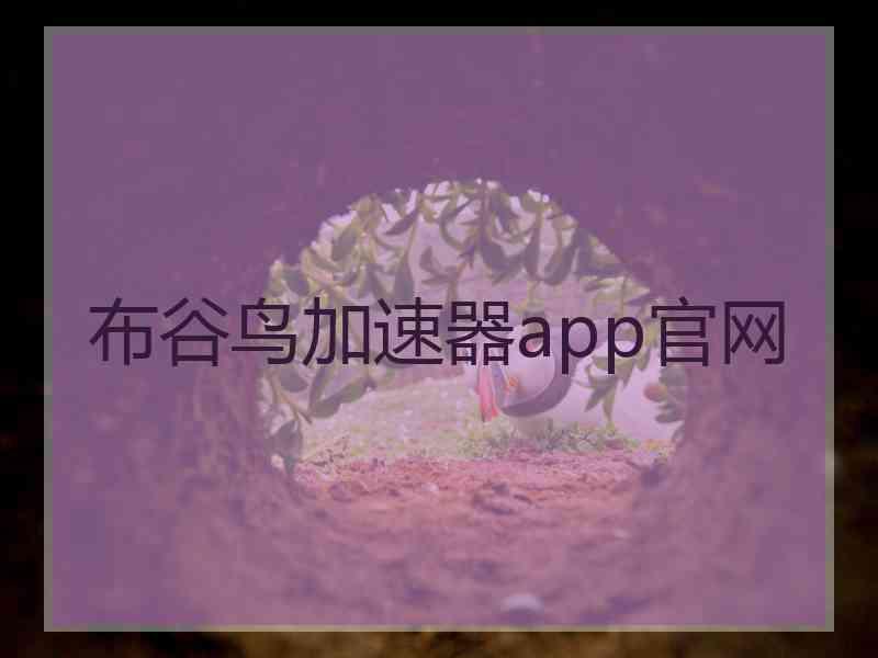 布谷鸟加速器app官网