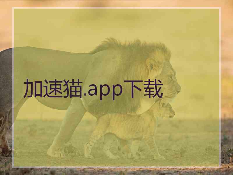 加速猫.app下载