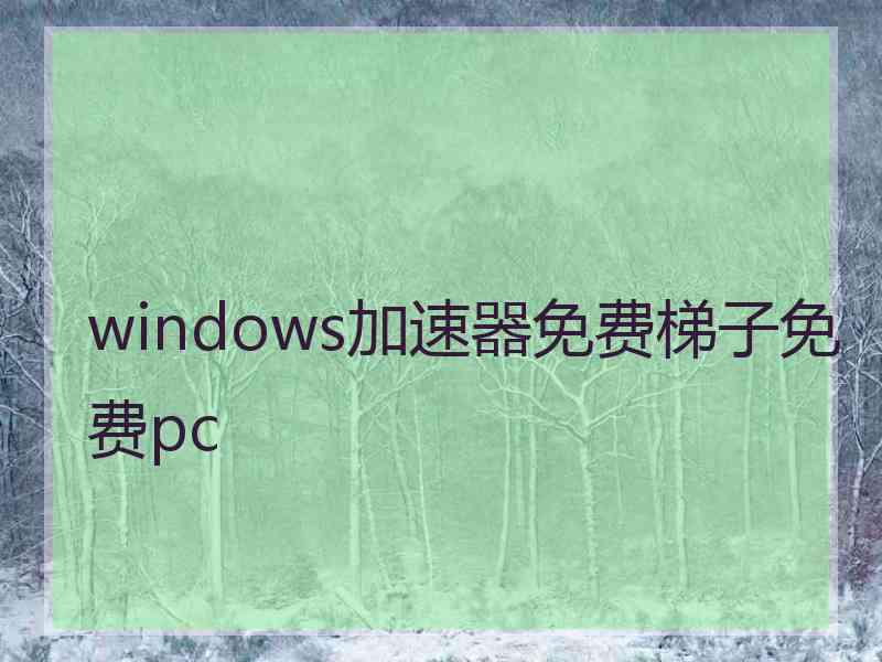 windows加速器免费梯子免费pc