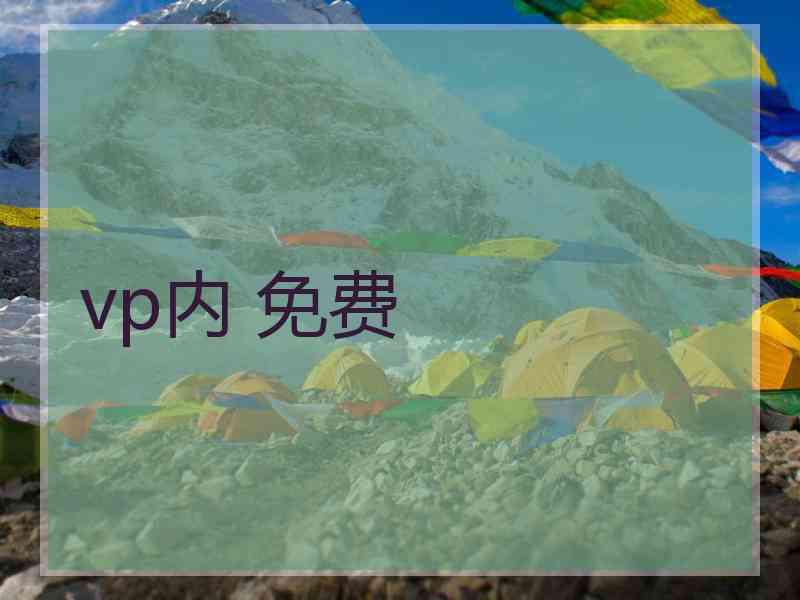 vp内 免费