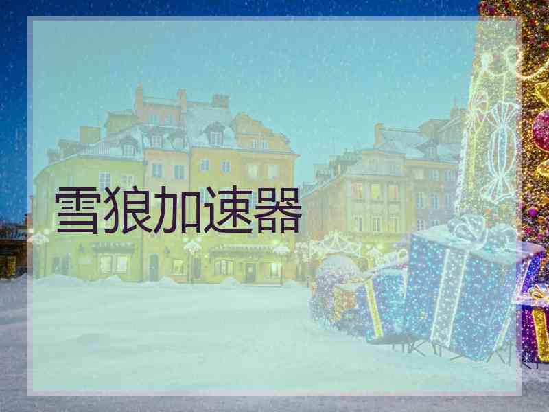 雪狼加速器