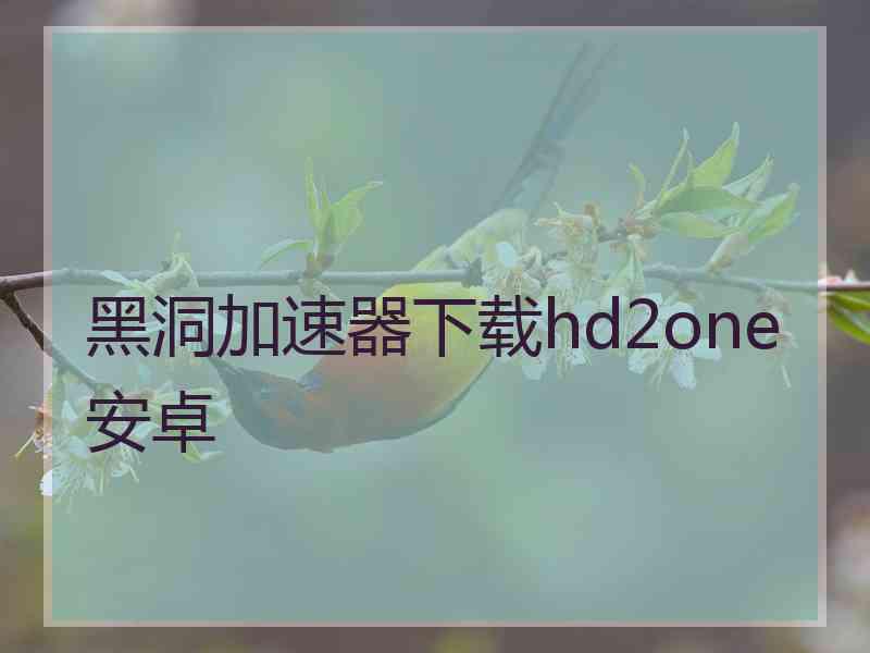 黑洞加速器下载hd2one安卓