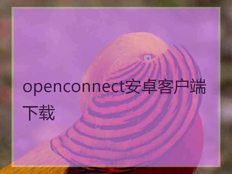 openconnect安卓客户端下载