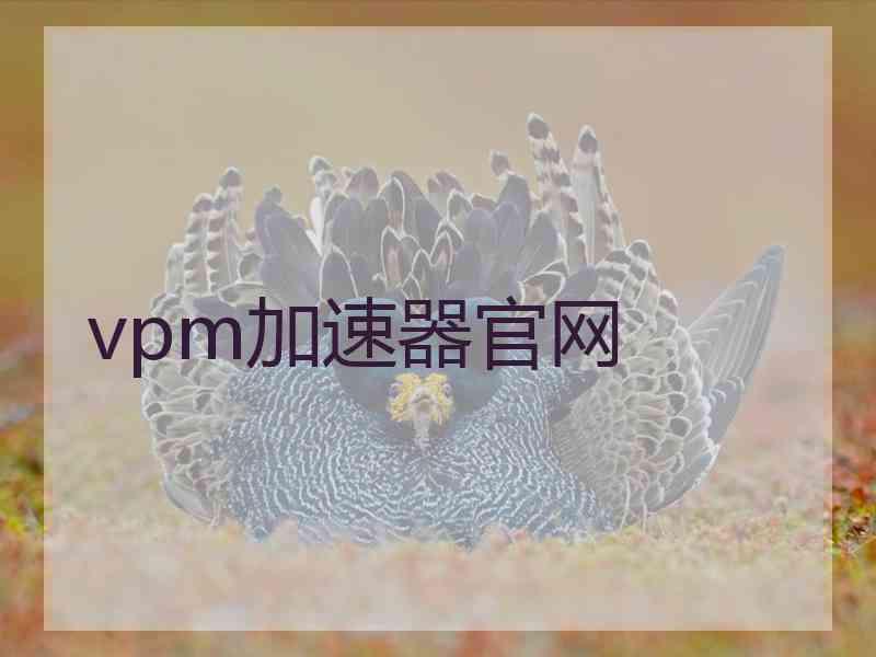 vpm加速器官网