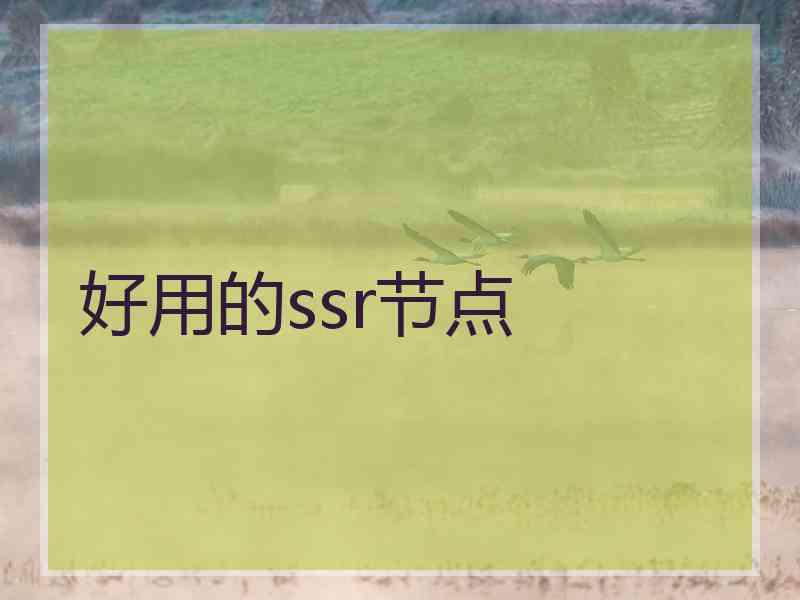 好用的ssr节点