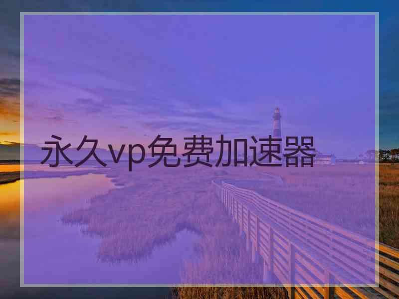 永久vp免费加速器