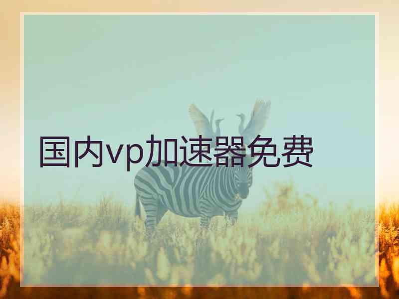 国内vp加速器免费