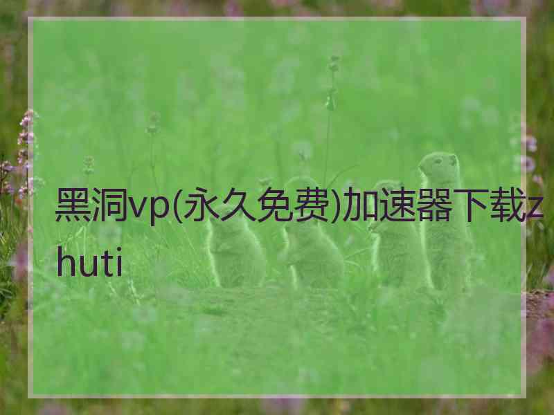 黑洞vp(永久免费)加速器下载zhuti