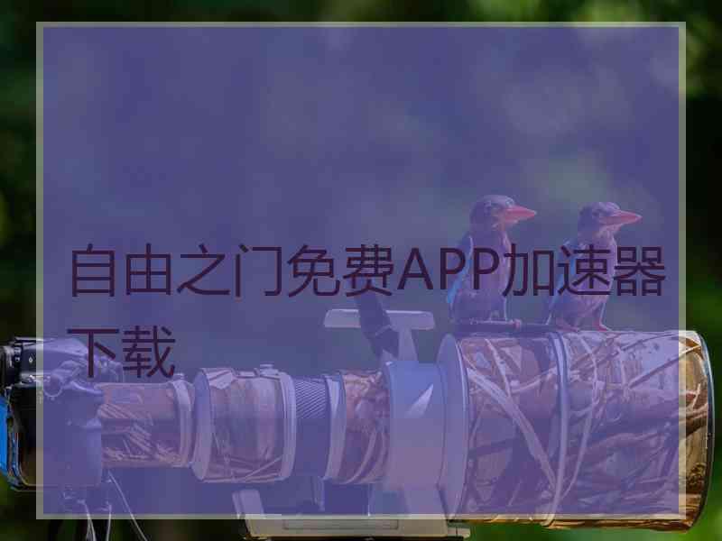 自由之门免费APP加速器下载