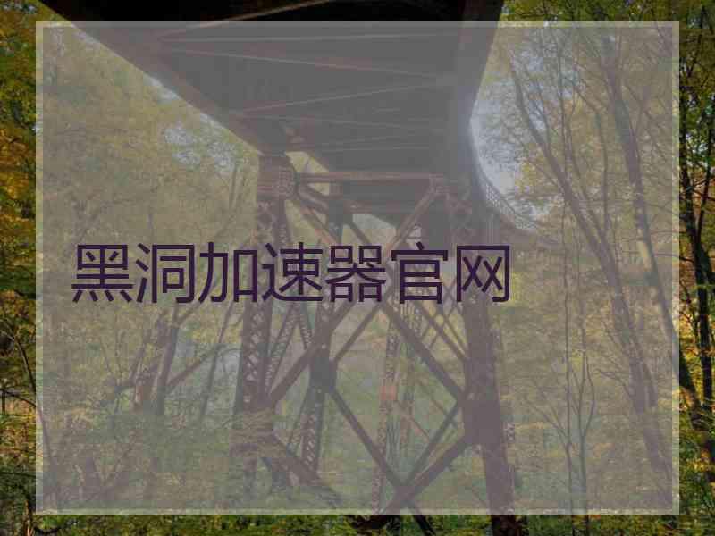 黑洞加速器官网