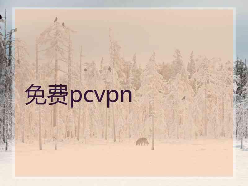 免费pcvpn