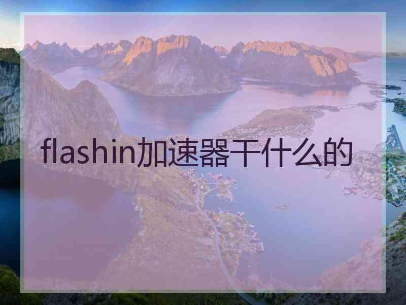 flashin加速器干什么的