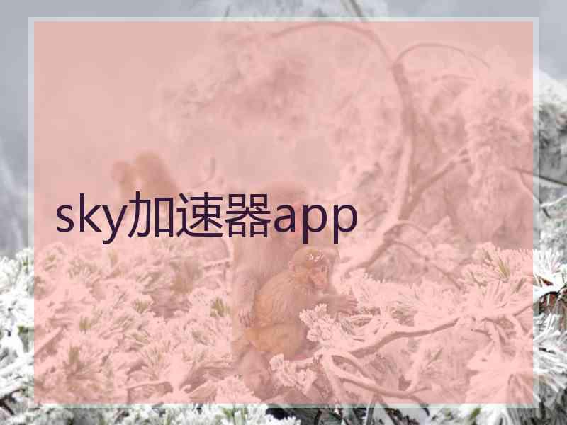 sky加速器app