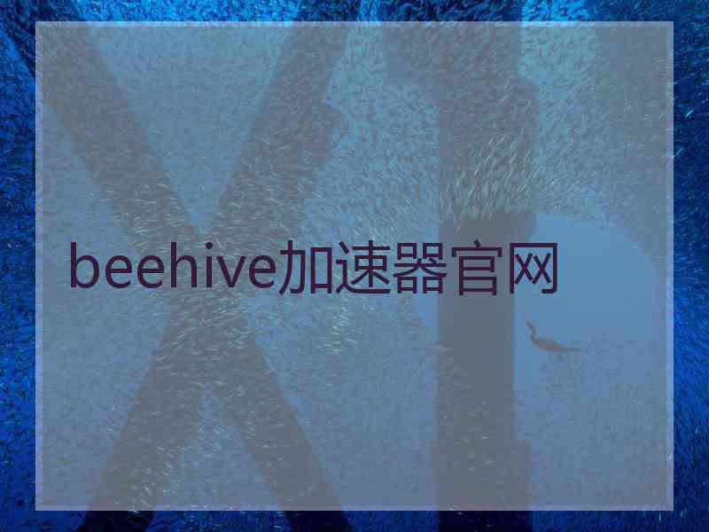 beehive加速器官网