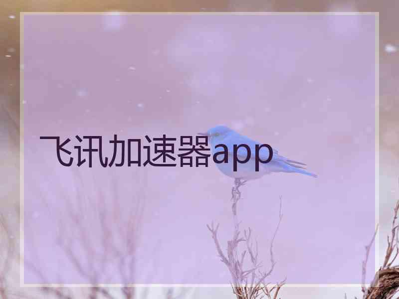 飞讯加速器app