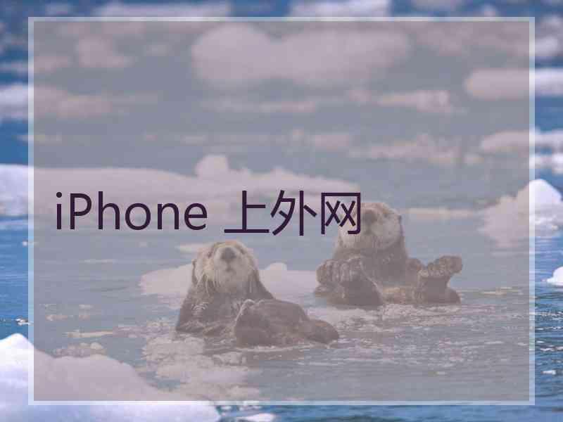 iPhone 上外网