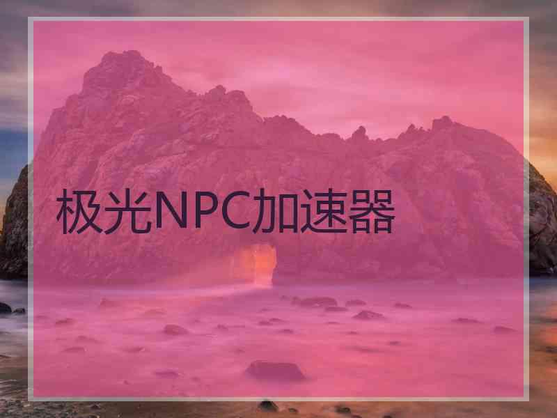 极光NPC加速器