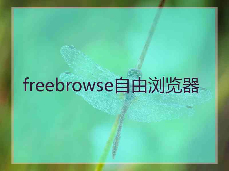 freebrowse自由浏览器