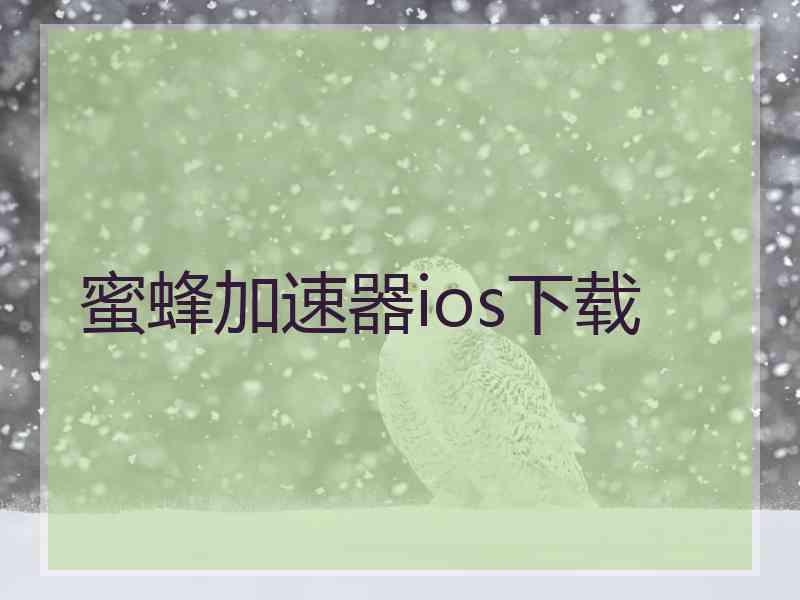 蜜蜂加速器ios下载