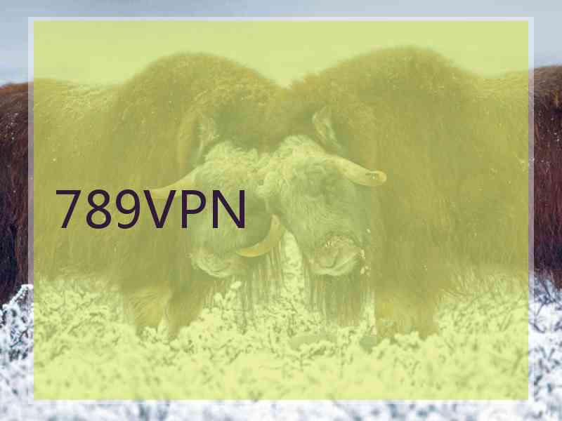 789VPN