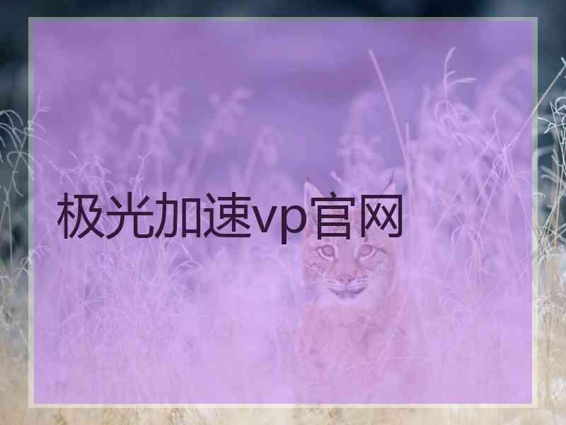 极光加速vp官网