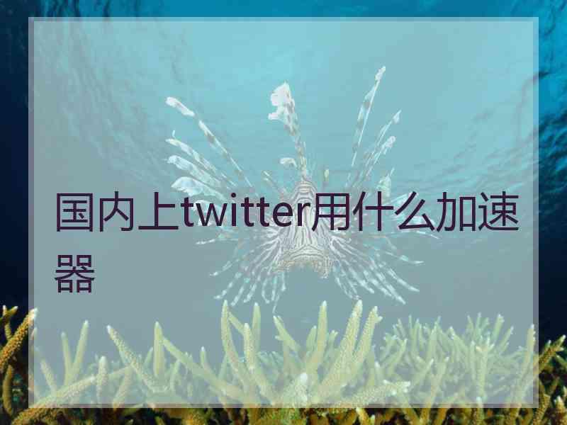 国内上twitter用什么加速器