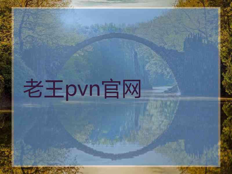 老王pvn官网