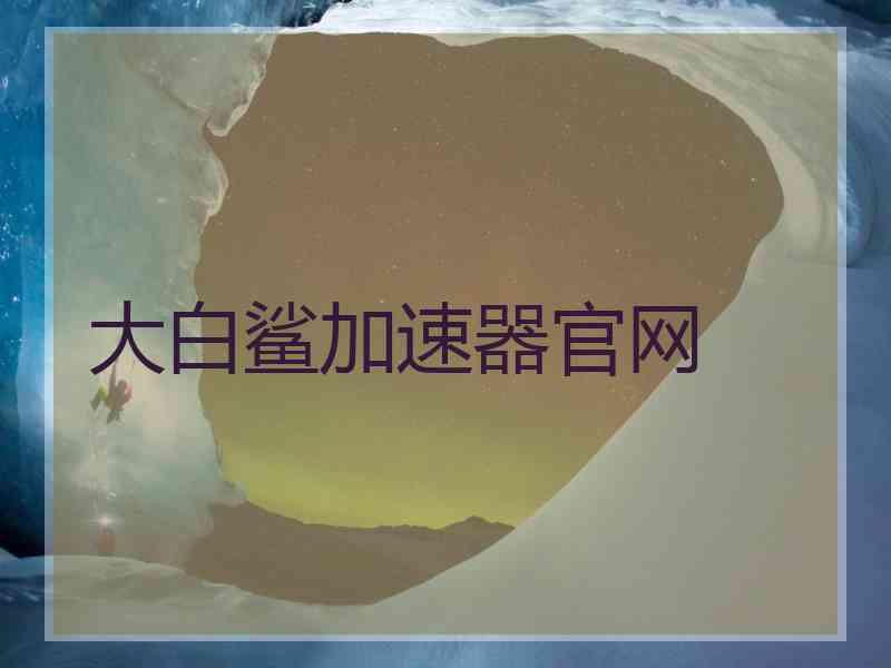 大白鲨加速器官网