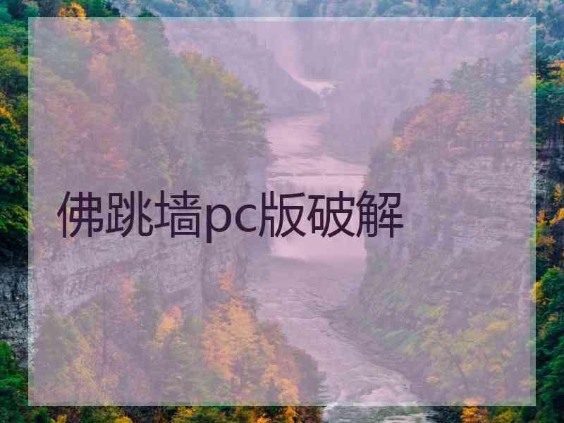 佛跳墙pc版破解