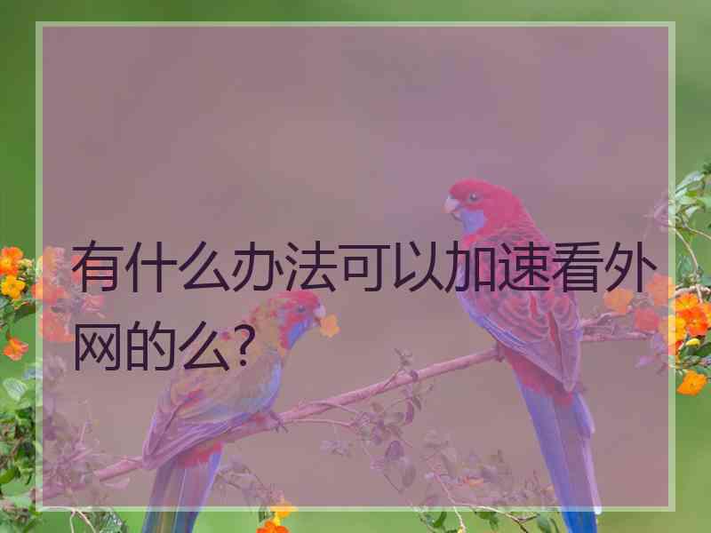 有什么办法可以加速看外网的么?