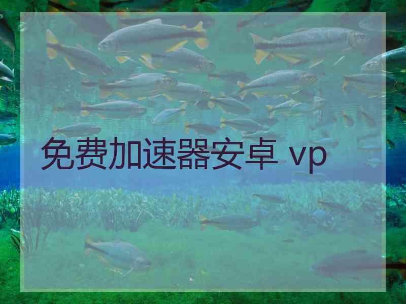 免费加速器安卓 vp