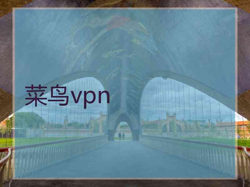 菜鸟vpn