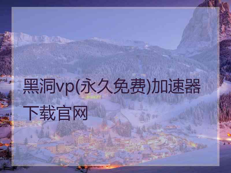 黑洞vp(永久免费)加速器下载官网