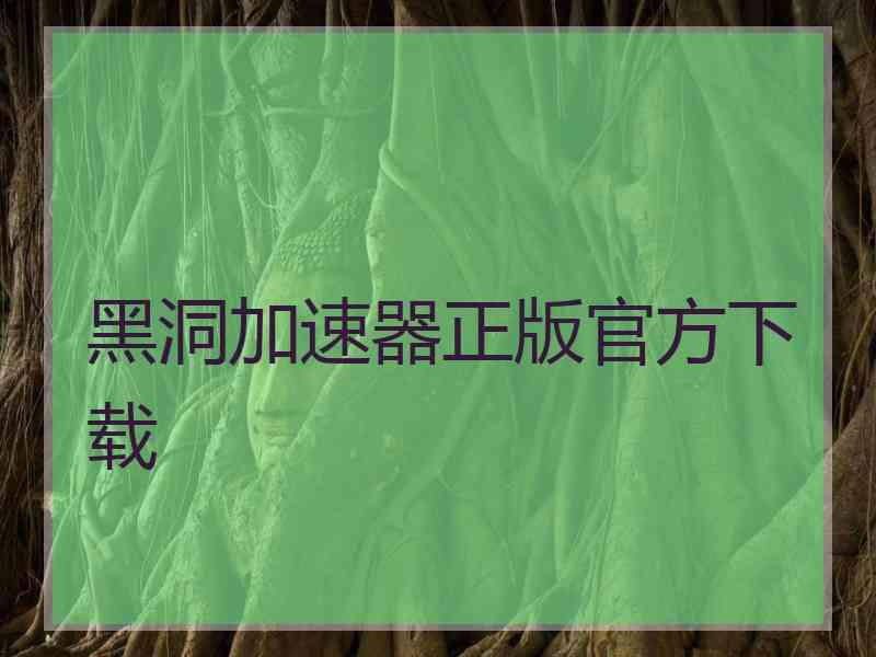 黑洞加速器正版官方下载