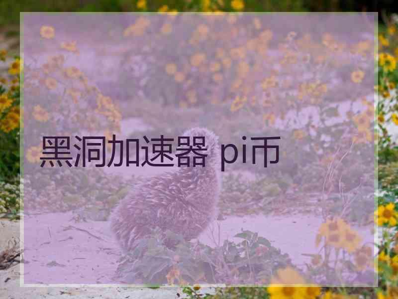 黑洞加速器 pi币