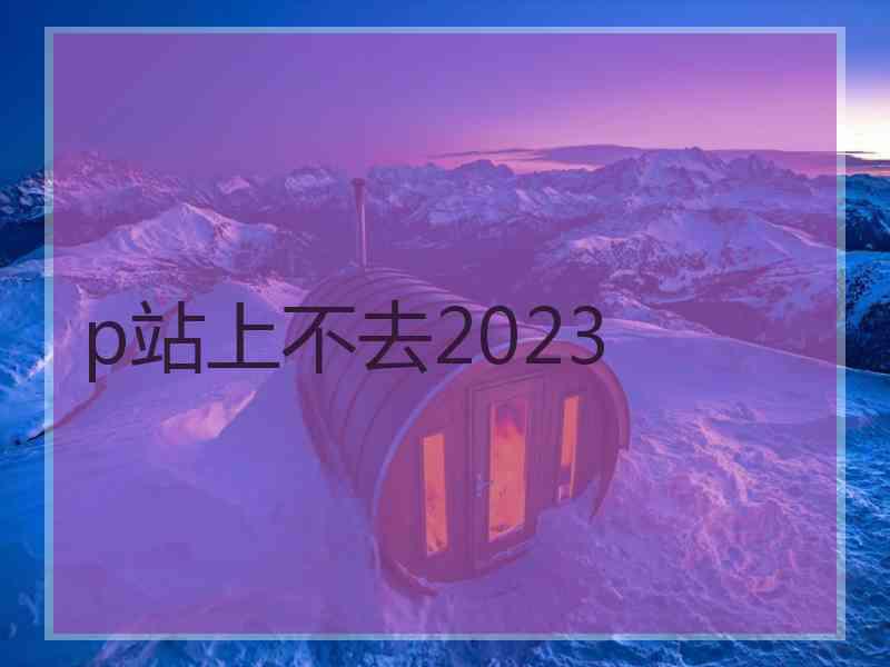 p站上不去2023