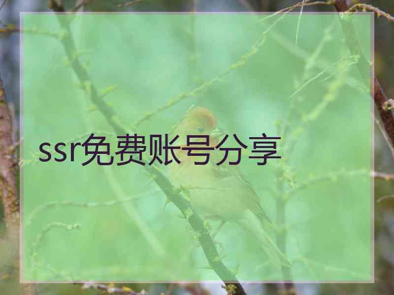 ssr免费账号分享