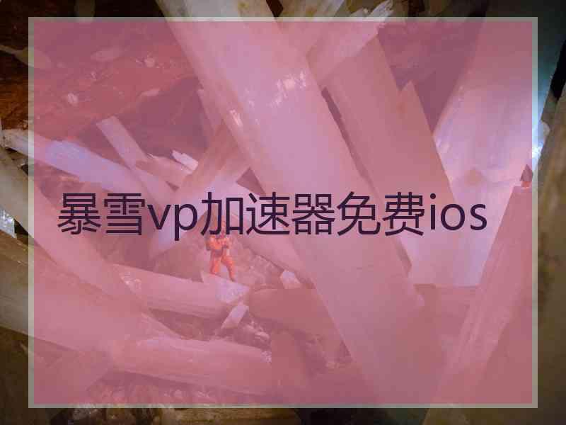 暴雪vp加速器免费ios