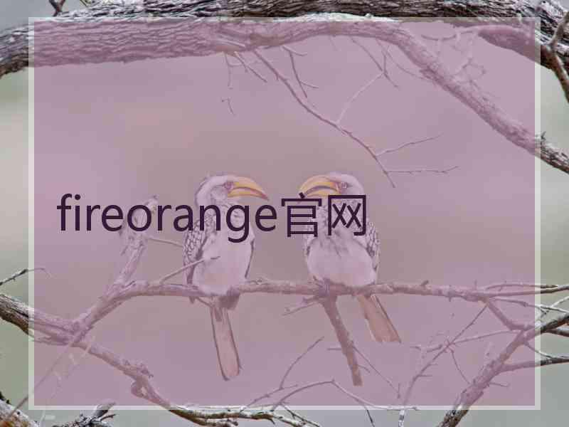 fireorange官网