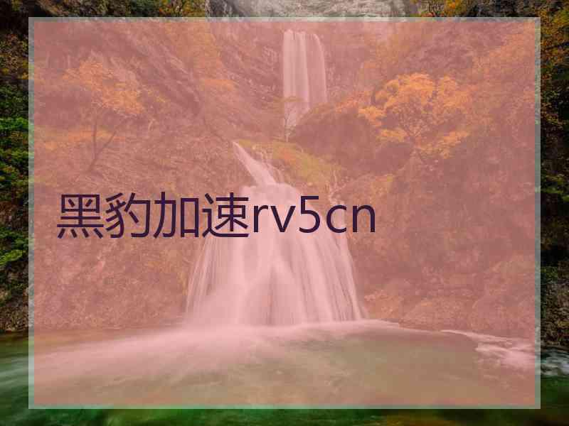 黑豹加速rv5cn