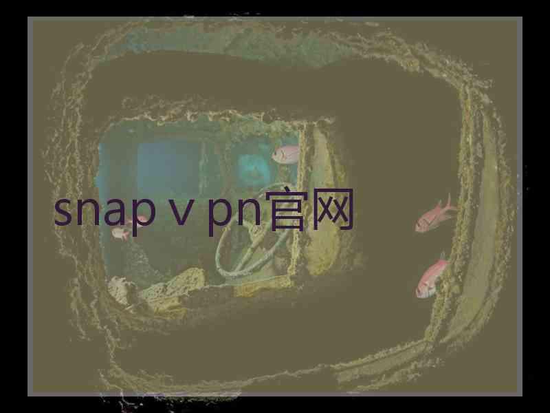 snapⅴpn官网