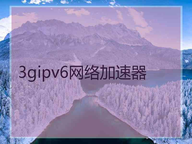 3gipv6网络加速器