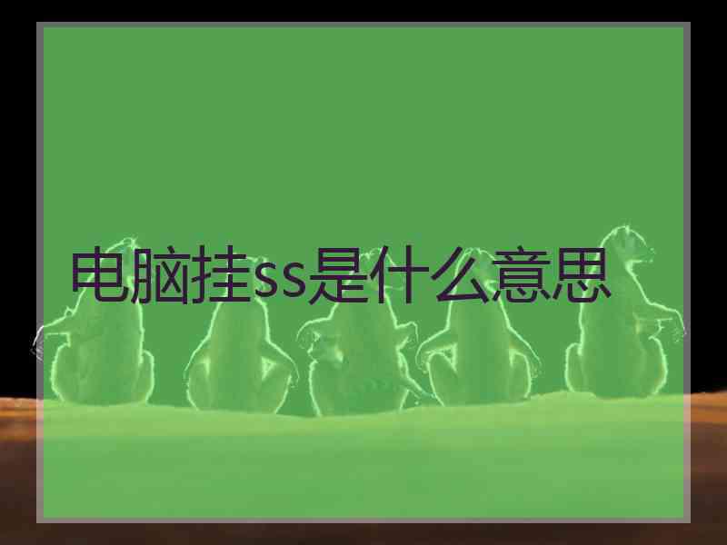 电脑挂ss是什么意思