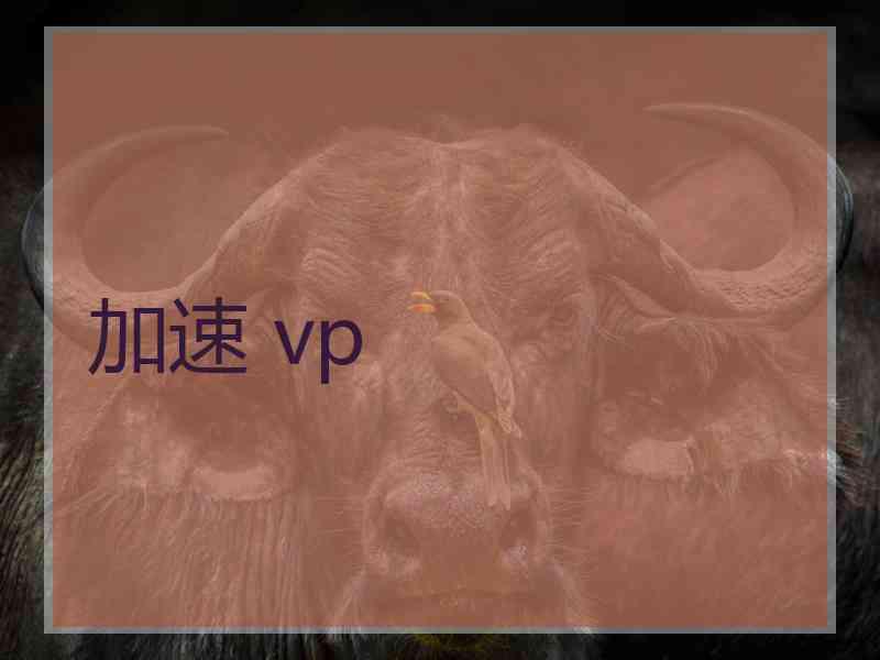 加速 vp