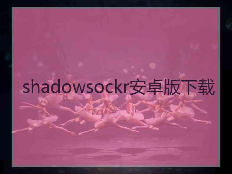 shadowsockr安卓版下载